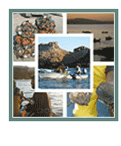 Coastal Marine Ecosystems