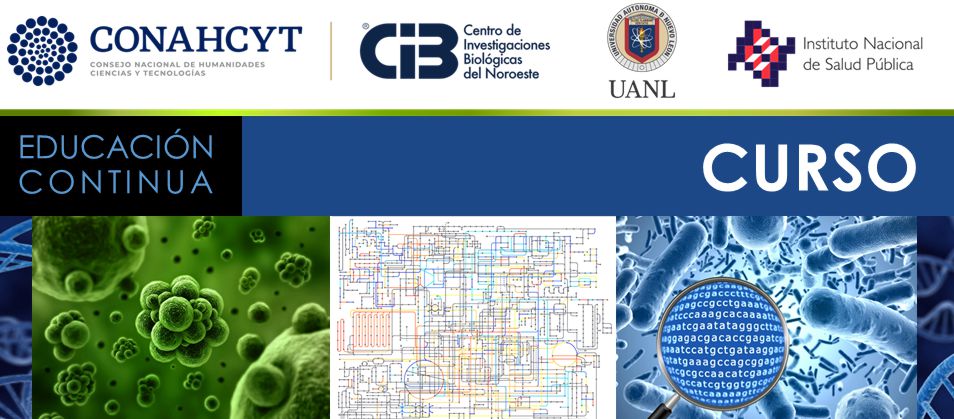 Ejemplo de Imagen a mostrar en encabezado