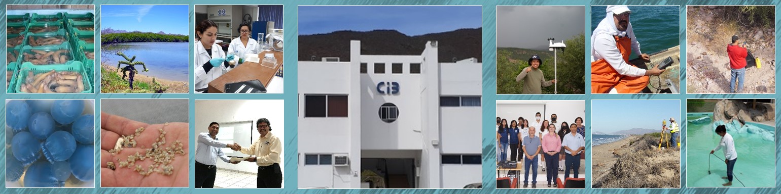 Quiénes somos en la Unidad Guaymas