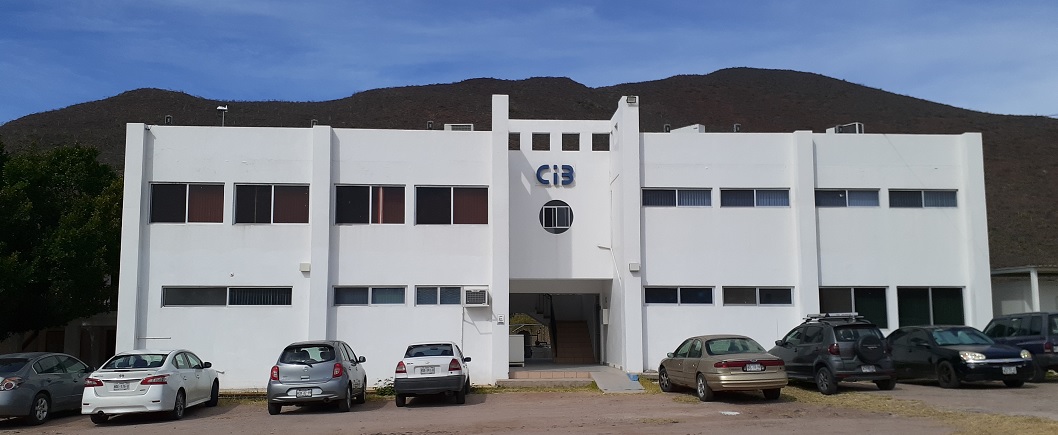 Unidad Guaymas, Investigación