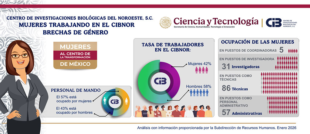 Brechas genero