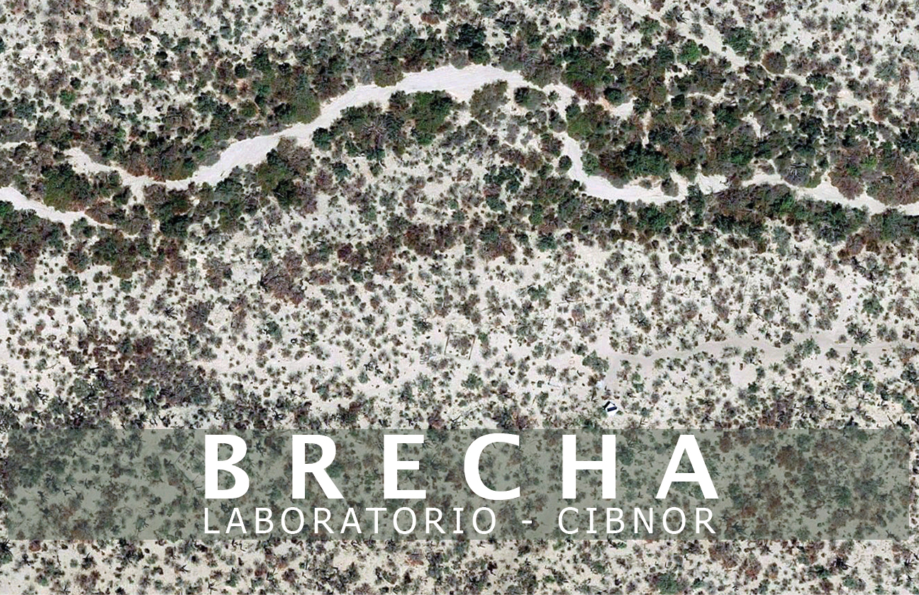 Flayer La Brecha portada