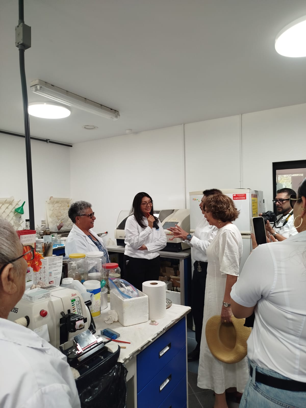 histologia