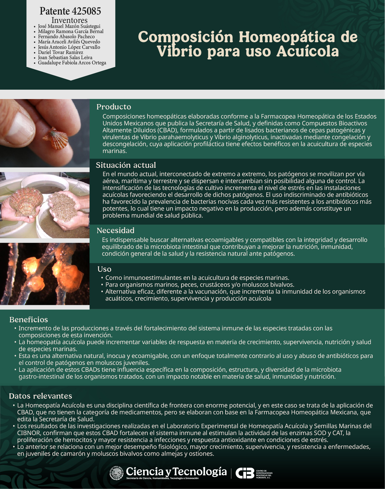 patente