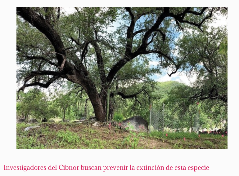 Captura de Pantalla 2021 08 14 a las 23.59.42