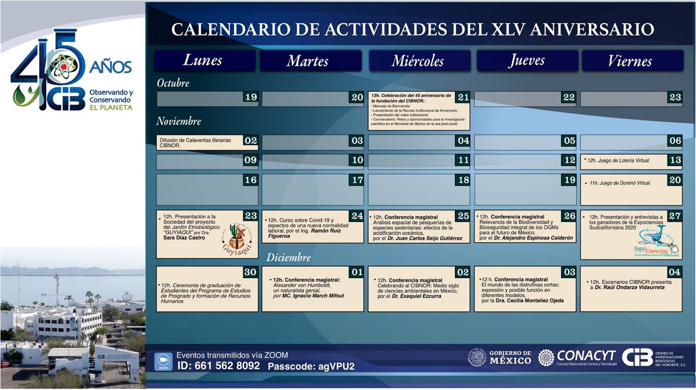 Calendario actividades