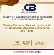 Placa
