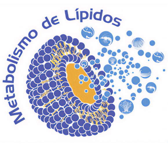 metabolismo de lipidos