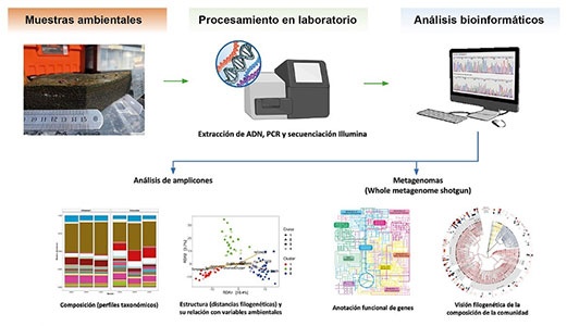 metagenomicos