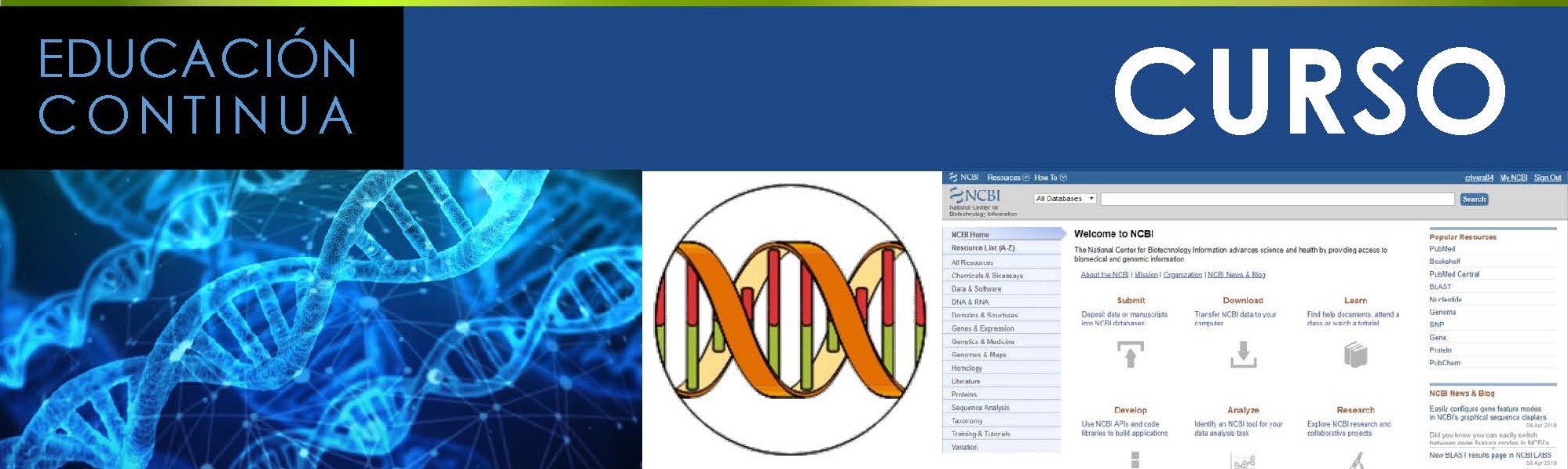 cintillo taller Herramientas básicas bioinformática 20190506