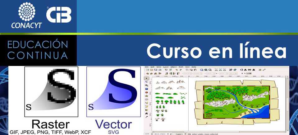 img cintillo curso Polipos del superorden 2019