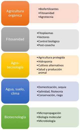 Img LGAC Maestria AgricSust lowRes