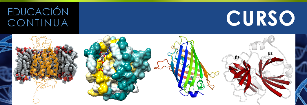 img cintillo Curso Estructura y funcion de proteinas